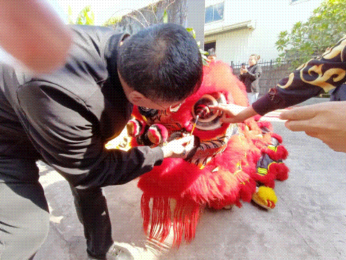 1675748893311236.gif 領(lǐng)導(dǎo)醒獅.gif